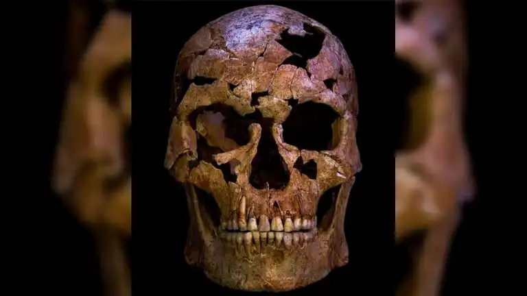 12 Bin Yıllık Cinayet Kurbanı Vietnam'da Bulundu